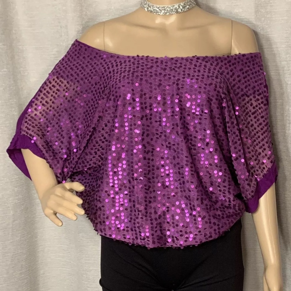 🩷 PURPLE FLAMINGO LOOSE FIT SEQUIN TOP